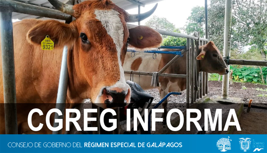 CGREG_informa_ganado_isabela_1